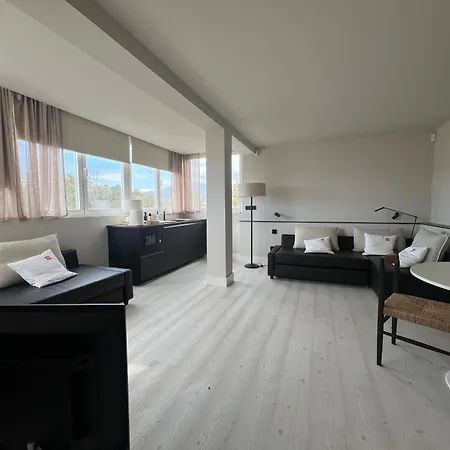 Luminoso Loft Con Piscina En Puerto Banus